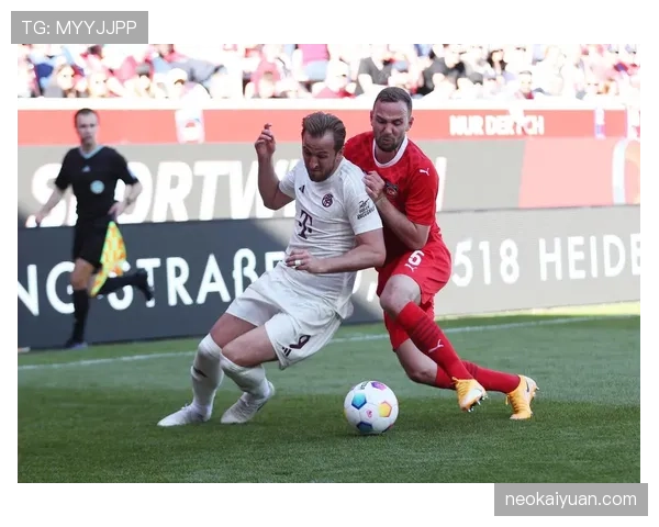 凯恩为何难破无冠魔咒？顶级表现与团队荣誉缺失的深层矛盾解析