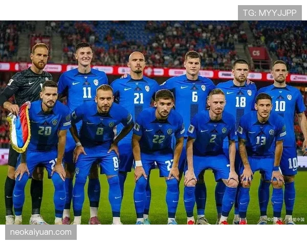 波黑冲击2026世界杯：晋级前景、阵容解析与出线形势分析
